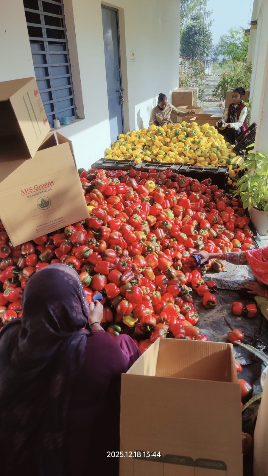 Packing for Dispatch
